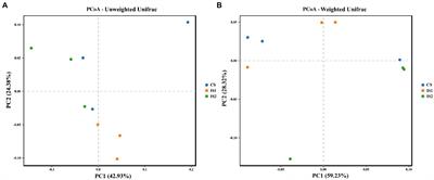 Evaluation of stirring time through a rumen simulation technique: Influences on rumen fermentation and bacterial community